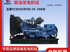 35KW玉柴柴油發電機組  視頻YCDV254FHZ-50