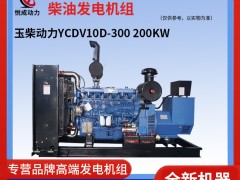 200KW玉柴動力柴油發電機組 YCDV10D-300工廠視頻實拍