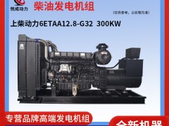 300KW上柴動力柴油發電機組 6ETAA12.8-G32解說視頻