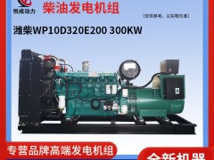 300KW濰柴WP10D320E200柴油發電機組視頻介紹