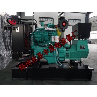 4BT3.9-G2康明斯動力配套30KW柴油發(fā)電機(jī)組