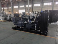 300 千瓦柴油發電機組(柴動力)技術參數與配置說明